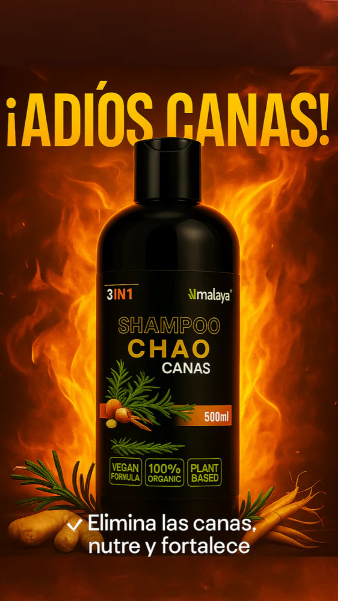 || CHAO CANAS SHAMPOO 2.0 ||